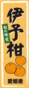 伊予柑ののぼり旗デザイン