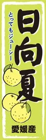 日向夏ののぼり旗デザイン