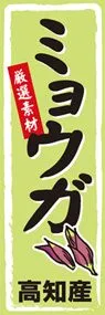 ミョウガののぼり旗デザイン