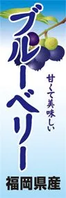 ブルーベリーののぼり旗デザイン