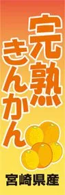 完熟きんかんののぼり旗デザイン