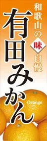 有田みかんののぼり旗デザイン