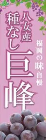 八女産種なし巨峰ののぼり旗デザイン
