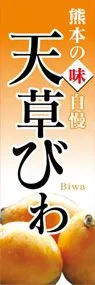 天草びわののぼり旗デザイン