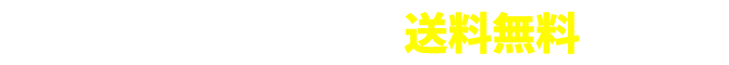 税込11,000円以上 送料無料